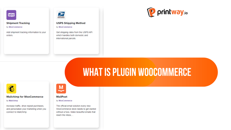 What is WooCommerce Plugin?