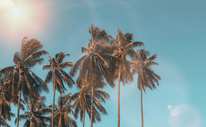 Summer Special Holidays For Print-on-demand Sellers