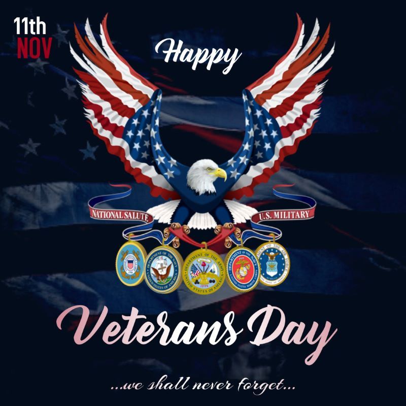 hinh anh dai bang trang cho dip veterans day