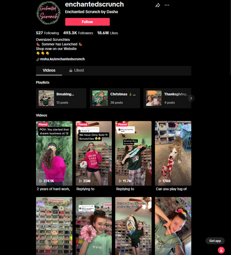 enchanted scrunch TikTok Shop