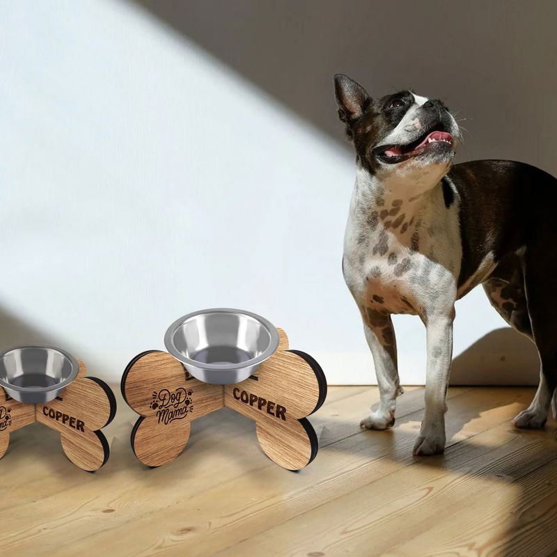mockupUrls-5