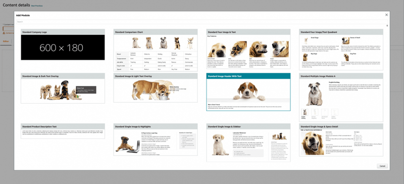 Types of A+ Content Modules