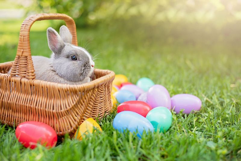 When Is Easter 2026?