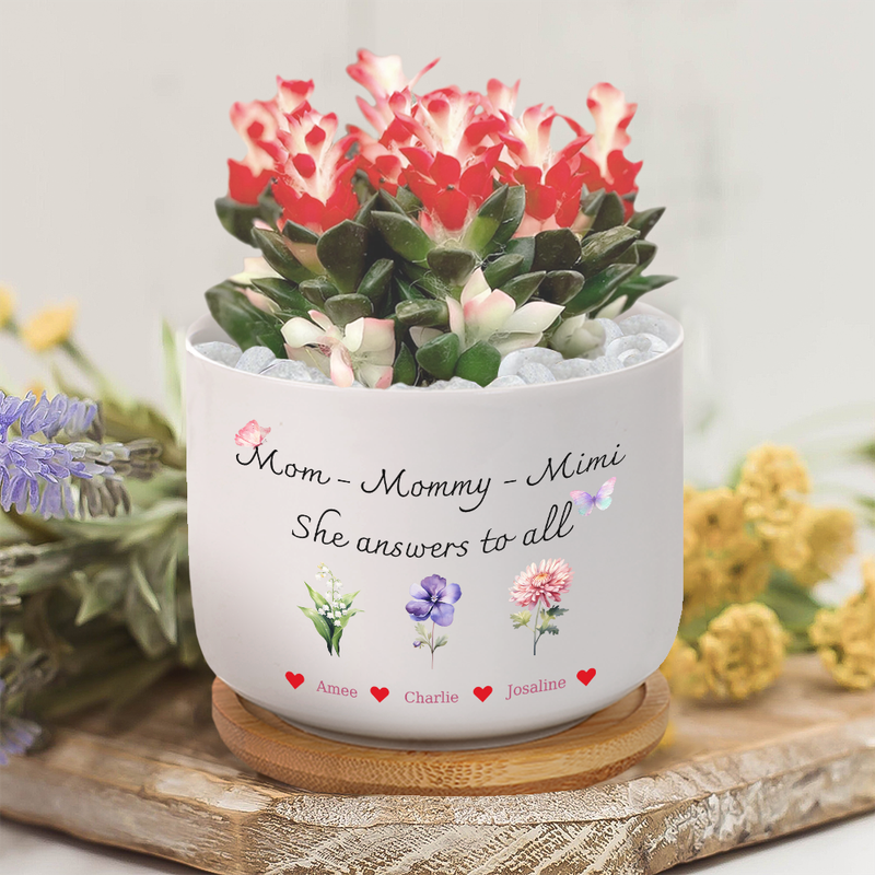 Occasion: A Long-Lasting Gift for Moms Who Love Plants