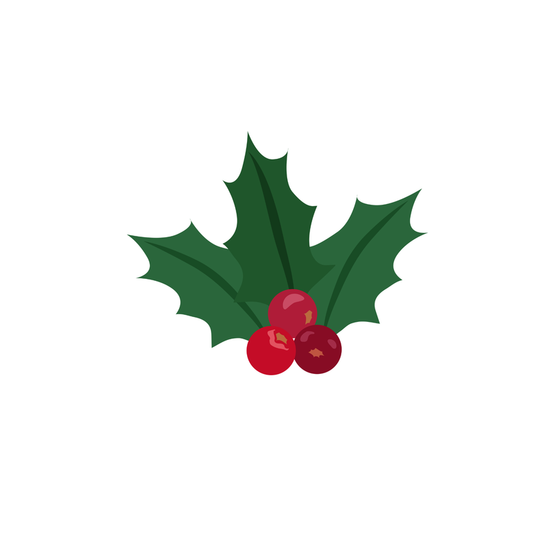 Icon 2